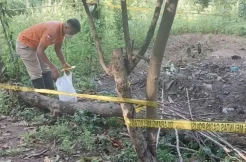 Kediri Gempar! Temuan Jasad Terkubur, Tangan dan Kaki Menyembul Dikerubuti Lalat