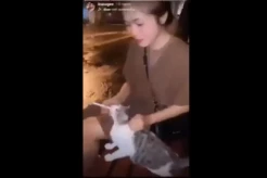 Gadis Cantik Paksa Kucing Merokok, Didatangi Polisi, Akhirnya Minta Maaf