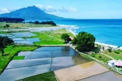 Jelajah Keindahan Manggarai Timur Flores yang Eksotis, Ada Perpaduan Pantai dan Sawah
