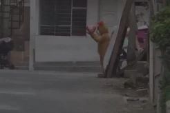 Viral! Aksi Polisi Nyamar...