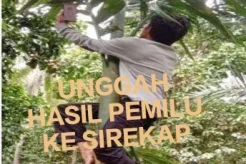 Perjuangan KPPS Manggarai Barat Unggah Hasil Pemilu ke Sirekap, Naik Meja hingga Panjat Pohon