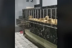 Viral! Ruang Tamu Rumah...