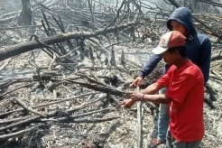 Bakar Lahan untuk Kebun Sawit, Petani di Rohil Diamankan Polisi