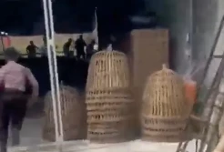Puluhan Penjudi Sabung Ayam Kocar-Kacir saat Digerebek Polisi, 9 Tertangkap!