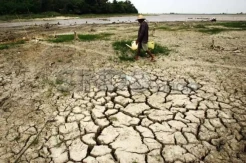 Waspada! BMKG Warning Ancaman Krisis Pangan Indonesia Tahun 2050