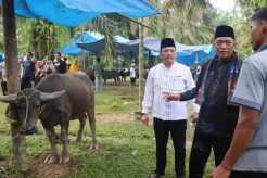 Intip Keseruan Festival Bantai Adat, Tradisi Potong Kerbau Masyarakat Jambi Jelang Ramadan