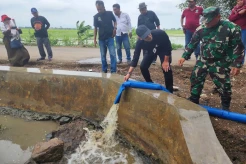 Kementan Optimistis 30 Hektare Sawah di Kapringan Indramayu Berjalan Optimal