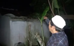 Pohon Tumbang Timpa Rumah Warga Sukabumi yang Bersiap Santap Sahur
