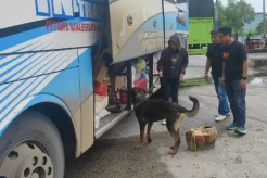 6 Anjing Pelacak K9...