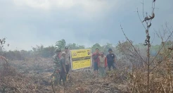 Bakar Lahan untuk Buka Kebun Sawit, Petani di Rohil Ditangkap Polisi