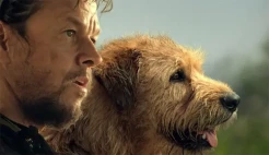 Review Film Arthur the...