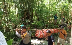Mayat Laki-laki Ditemukan Terapung di Sungai Bofino Nias Barat