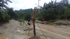 Kesal Jalan Trans Sulawesi di Kolaka Jadi Kolam Lumpur, Warga Tanam Pohon Pisang