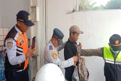 14 Juru Parkir Liar Ditangkap Petugas saat Razia di Jakarta Pusat