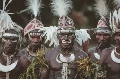 Penyebab Orang Papua...