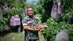 Kisah Inspiratif Serda Mugiyanto, Berhasil Kembangkan Kelengkeng di Lahan Berpasir Borobudur