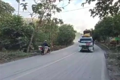 Gunung Lewotobi Laki-Laki Erupsi, 2 Kabupaten di NTT Diguyur Hujan Abu Vulkanik