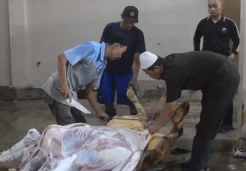 Ditemukan Cacing Hati Hewan Kurban saat Penyembelihan di RPH Cilacap