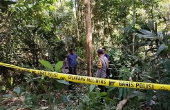 Petani 68 Tahun Tewas Terjatuh saat Panen Merica di Kulonprogo
