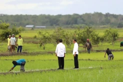Jokowi dan Iriana Tinjau...