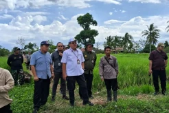Maksimalkan Program PAT, Kementan Maksimalkan Peran Penyuluh Pertanian
