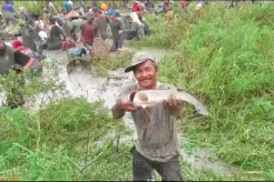 Mengenal Tradisi Berkarang, Ratusan Warga Muaro Jambi Berebut Ikan Musim Kemarau