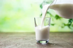 Apakah Susu Ikan Bisa Menjadi Pengganti Susu Sapi? Ramai Terkait Program Makan Gratis