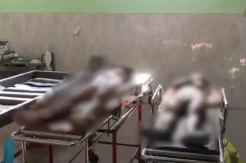 Tragis! 2 Pekerja Tewas usai Lift Pabrik Pakan Ternak Terjatuh di Mojokerto
