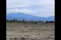 Pesawat SAM Air Jatuh di Empang Dekat Bandara Pohuwato Gorontalo