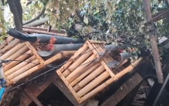 Amuk Puting Beliung di Blitar Akibatkan Buruh Ternak Ayam Tewas Tertimpa Pohon