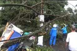 Hujan Angin Landa Kota Cimahi, Pohon Tumbang Timpa Warung dan Mobil