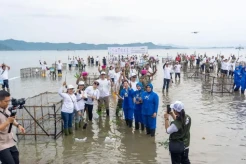 Penanaman 20 Ribu Bibit Mangrove Bantu Cegah Pemanasan Global dan Dorong Partisipasi Masyarakat serta Korporasi