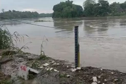 Waspada Banjir, Sungai Bengawan Solo di Bojonegoro Siaga Merah