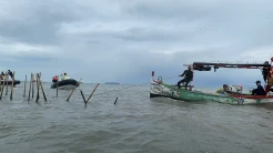 Saksikan INTERUPSI HGB Pagar Laut Dicabut, Siapa Diusut? Malam Ini Bersama Ariyo Ardi, Anisha Dasuki, dan Narasumber Kredibel, Live di iNews