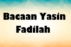 Cara Membaca Yasin Fadilah, Panduan Lengkap Keutamaan dan Dalilnya