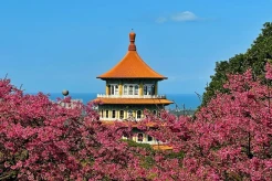 Menelusuri Keindahan Tersembunyi Taiwan, Intip 5 Destinasi yang Wajib Dikunjungi