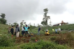 Petani Pandai Sikek Tanah Datar Rasakan Manfaat Bantuan MNC Peduli