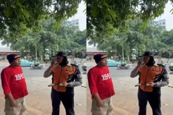 Viral Sule Ditilang Dishub saat Bawa Mobil Double Cabin, Ditanya KIR