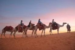 Arab Saudi Gelar Travel Fair di Jakarta, Tawarkan Aneka Destinasi Wisata dan Sport Tourism