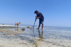 Kala Nelayan Perempuan...