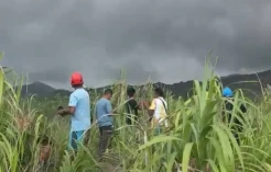 Erupsi Gunung Dukono, BNPB Sebut 2 WNA Masih dalam Pencarian