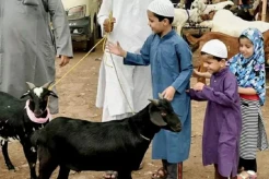 Bolehkah Seekor Kambing untuk Kurban Sekeluarga?