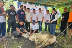 41 Hewan Kurban Disalurkan Serentak di 33 Kabupaten dan Kota, Perindo Sumut Perkuat Kepedulian Sosial