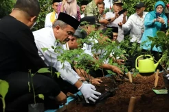 Pemprov DKI Jakarta...