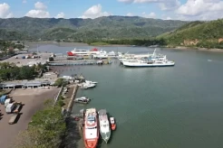 Gapasdap: Penggunaan B50 untuk Kapal Bebani Biaya Operasional Angkutan Penyeberangan