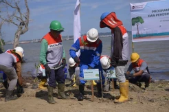 Investasi Hijau, Pertamina Port & Logistics Tanam 600 Mangrove di Balikpapan