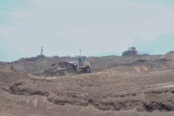 PLN EPI Dorong Bioenergi Jadi Motor Diversifikasi Energi Nasional