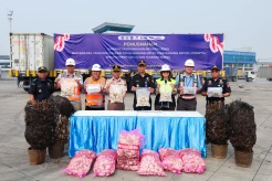 JICT dan Bea Cukai Sinergi Percepat Penanganan Kontainer Longstay di Pelabuhan