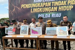 118 Mangrove Rusak di...