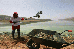 Air Danau Qaraoun Lebanon Tercemar, 40 Ton Ikan Mati